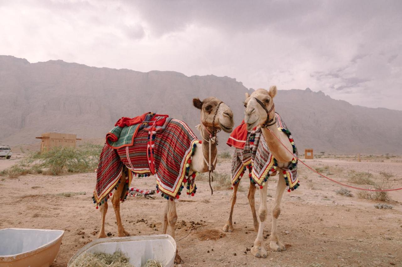 Pura Eco Retreat, Jebel Hafit Desert Park アル・アイン エクステリア 写真
